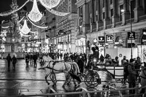 BZ7T3626_Wien Weihnachtslichter SW_Foto Pfluegl_141130 final