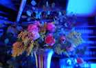 DSC00054 Opernball Foto Pfluegl 230216